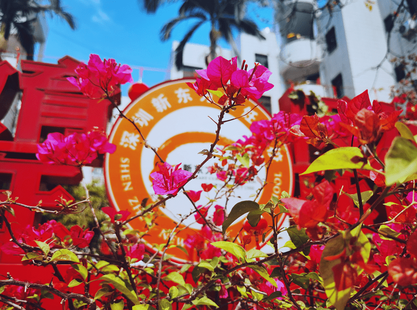 深圳新东方拥有的七种颜色 同学你看到了吗 