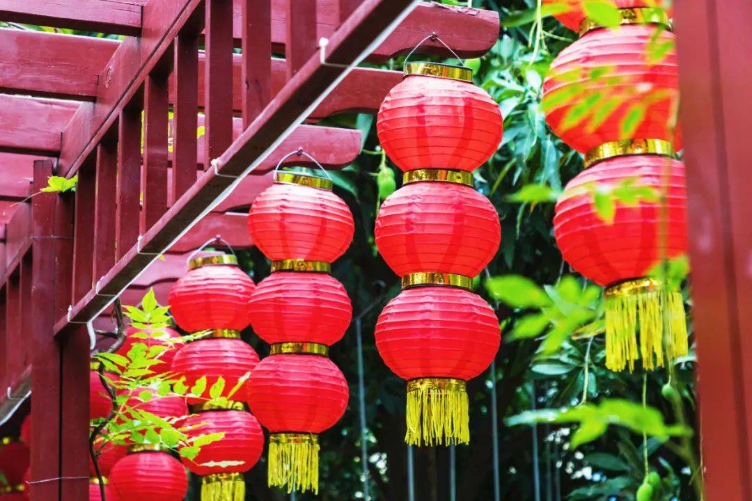 深圳新东方拥有的七种颜色 同学你看到了吗 