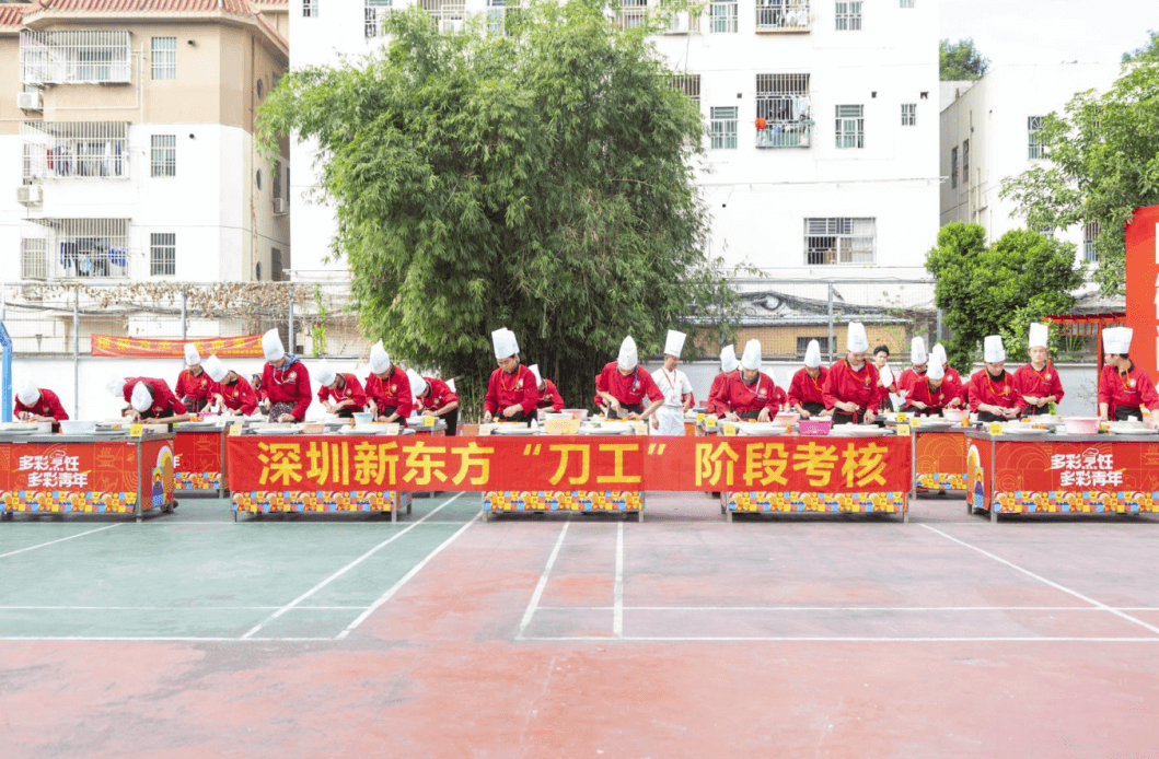 烹饪营养与工艺2301班基本功技能考核，围观烹饪“萌新”的成长之路