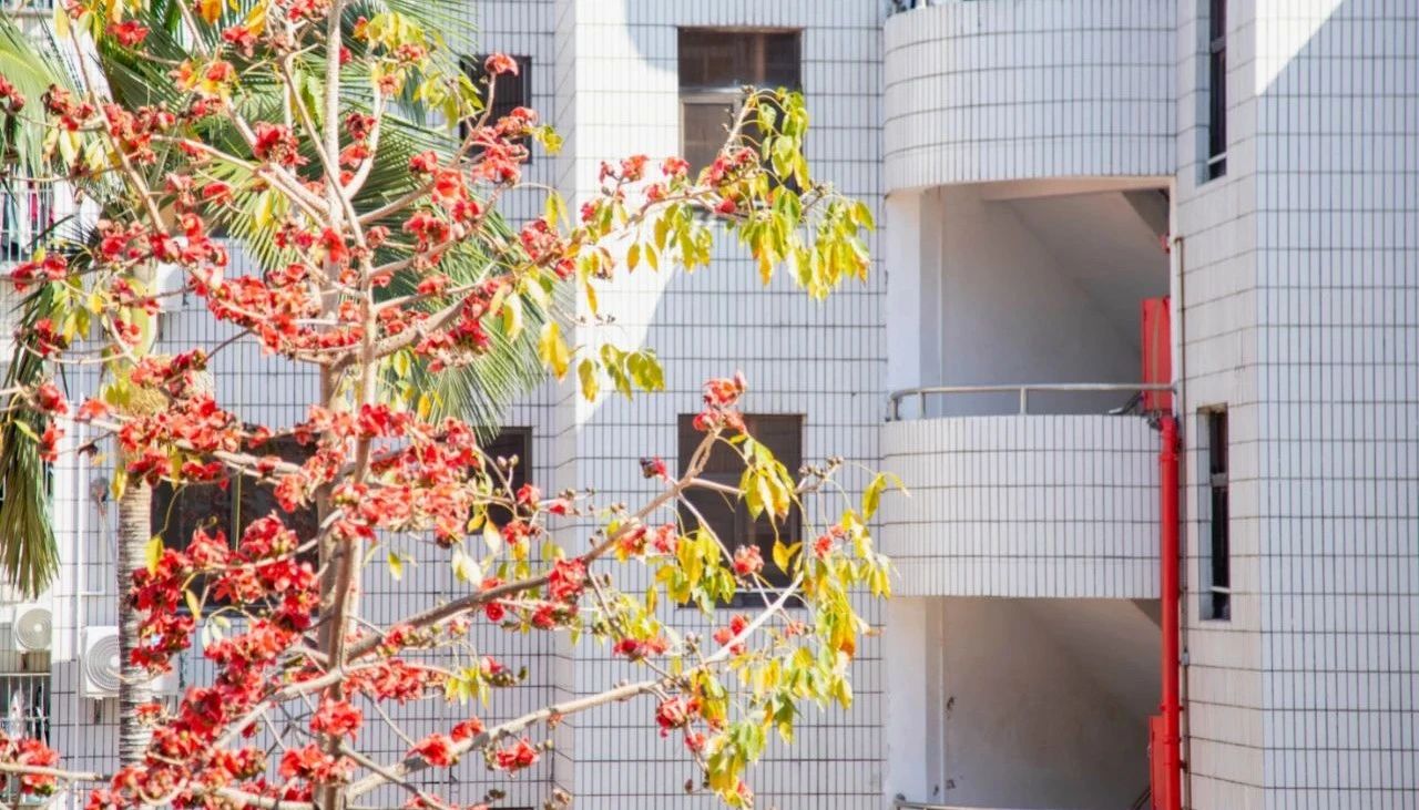 【校园活动】春意渐浓万物苏 技能学习促提升——记“大师进校园”系列活动